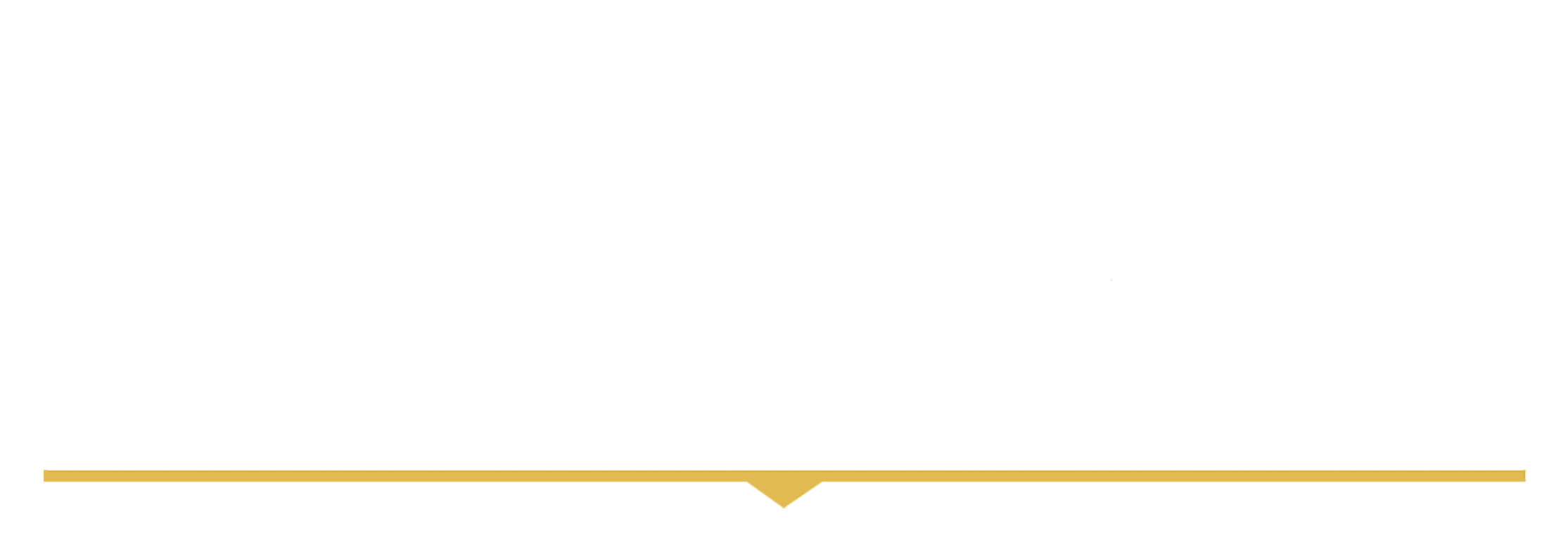 love smart leadership logo